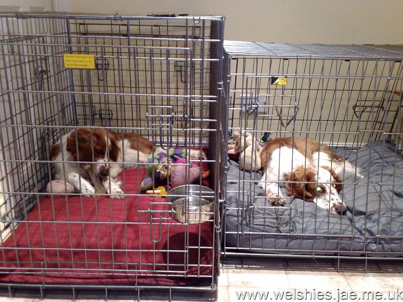 2009-10-21 01.jpg - Meet our new homes...